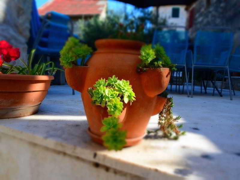 Apartment Slavica *